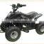 800W 36V The Bike Adult Electric ATV