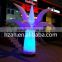 LED Inflatable Illuminated Palm Tree