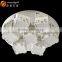 Lamp Chandelier,chandelier Pendant Decoration Lights OM88404-600 L7