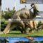 MY Dino-C024 Large fiberglass dinosaur model for sale