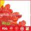 Dried Red Cherry Fruit for Wholesale