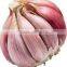 TAKE PART OF PRODUCT GARLIC