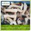 IQF frozen boletus edulis price New crop Frozen Boletales mushroom