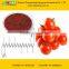 Lycopene 5% from professional manufacturer