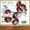 2015 New Raw Fresh Chestnuts