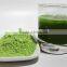 Dehydrated Organic Broccoli Sprout Powder