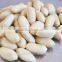 2016 crop blanched peanut kernel with superior quality