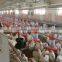 Breeder Pan Feeder for Chicken Farm Equipments