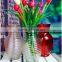 Glass Vase Clear Spiraling Glass Flowerpot With Colors