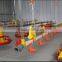 design Complete poultry chicken farm equipment for broiler and breeders