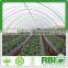 Tunnel Plastic Greenhouse for Agriculture Low Cost