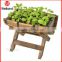 Elevated Wooden Garden Planters for Vegetable, Herb and Flower Planting