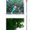 garden Fruit Picking Device/Garden Tool Fruit Picker