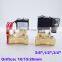 Normally Closed 2 way Pilot Diaphragm water Brass Solenoid Valve 3/8 1/2 3/4 inch 110V AC 10/15/20mm NBR PX-10/15/20 10bar valve