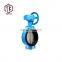 Professional Manufacture Worm Gear Type Wafer Butterfly Valves Price