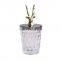 Table Decoration Gold Metal Lid Glass Jar