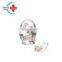 HC-S413 Medical  skull anatomy model science human skull model 10 parts simulated medical skull model