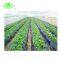 High quality agricultural plastic mulching film roll for potatoes