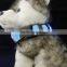Pure Color Double Side Exposure Flat Optical Fibre Led Pet Dog Collar