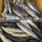 Good Quality Pacific Mackerel on Sale