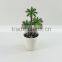 Best selling high simulation medium size green artificial succulent /cactus with melamine pot