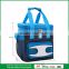 2015 Hot sale Car Cooler Bag 12V