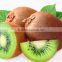 New crop Fresh Golden Kiwi fruit Price, red Kiwi exporter from china