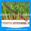 barley grass machine of producing barley grass juice /hydroponics fodder hydroponic culturing barley breeding machine