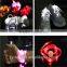 luminous light up shoelace wholesale led shoelaces