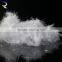 High Quality China Factory wholesale white duck feather