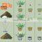 raw flocculant super absorbent polymer (SAP) for agriculture
