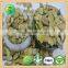 snow white shine skin GWS Pumpkin seed Kernel high quality good price 2015 new crop