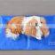 Sponge Cool gel pet mat