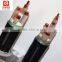 0.6/1kv copper tape steel wire armored XLPE acfrequency converter shielded power cable