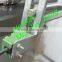 Automatic Olive Oil Packaging Machine/Palm Oil Packaging Machine