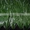 Artificial Grass/ synthetic Grass& football grass for soccer fields