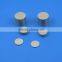 Samarium Cobalt magnets,magnetic subassemblies, industrial magnets