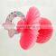 NEW Pacifier Nipple Tissue paper HoneyComb Hanging decoration for Baby shower party                        
                                                Quality Choice