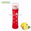 borosilicate glass water bottle with fruit infuser/tea filter and silicone sleeve covered