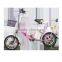 Electric Mini Bicycle 36V12A