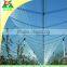 Best Price of Transparent Anti-hail Net With UV Protection in it
