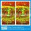 Hot stamping foils gold and silver color double sided hologram sticker