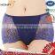 Luxury Lace Modal Underwear Transparent Comfortable