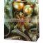 2015 New Design Christmas Gift Paper Bag