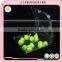 Plastic Clear Fruit Blister Box With Lid