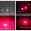 Professional Beauty Machine 808nm Diode Laser Hair Removal
