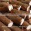Native tapioca starch, cassava starch, tapioca starch