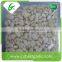 White pure peeled frozen garlic cloves