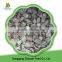 health delicious organic frozen market prices for frozen oyster mushroom have a hot sale in carton