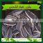 2015 Sunflower Seeds Market Price 5009 Top Quality